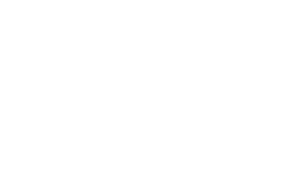Pongi Logo